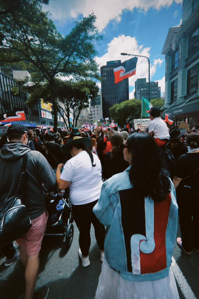 Standing for Toitū te Tiriti